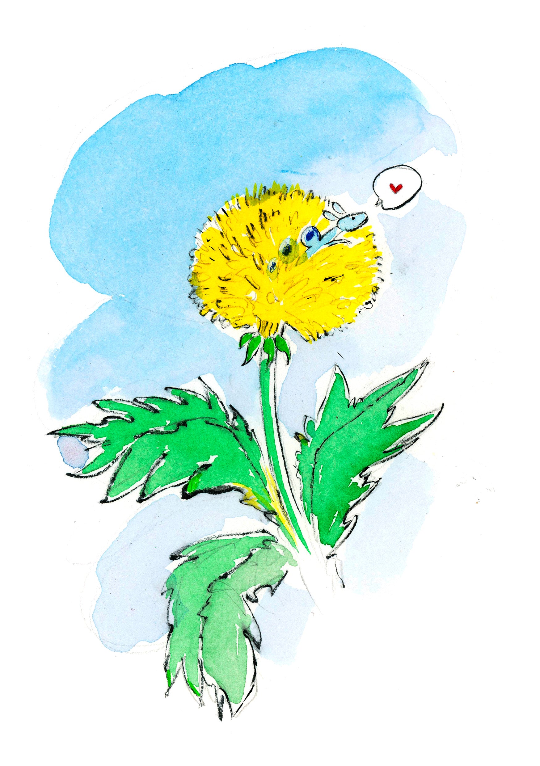 Blue dragon in a dandelion